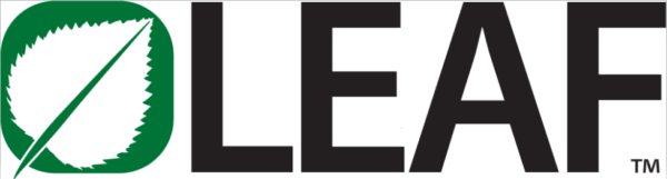 Leaf Logo